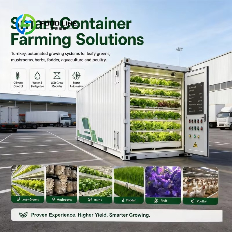 Farming Agriculture Project - Ticari Yapraklı Yeşillik Yetiştiriciliği için Hidroponik