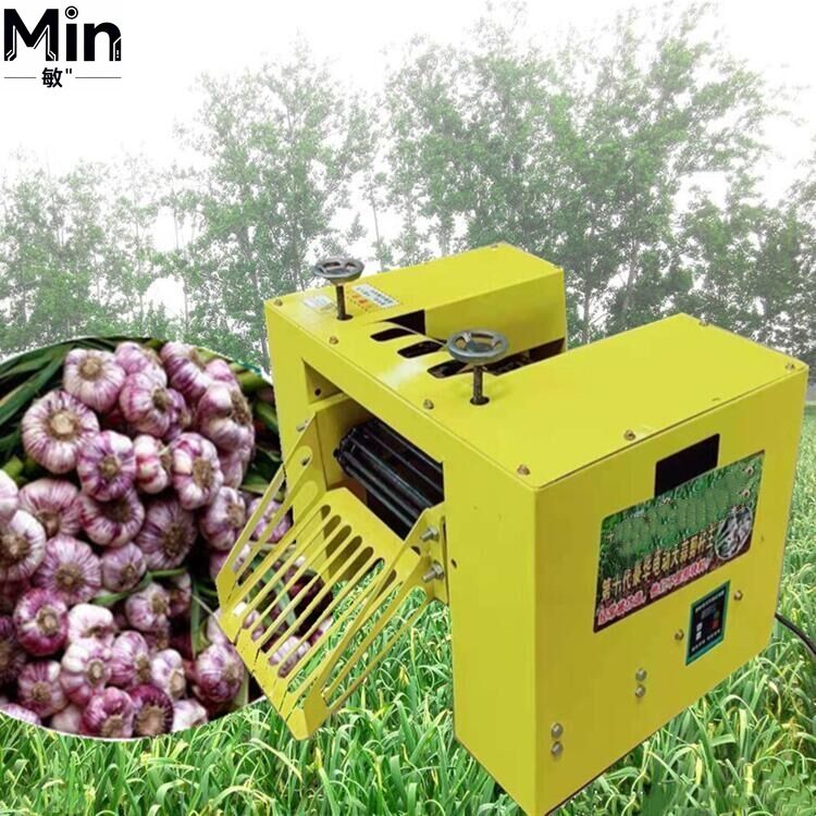 Agriculture Onion Farming - Tarım İşletmeleri İçin Soğan ve Sarımsak