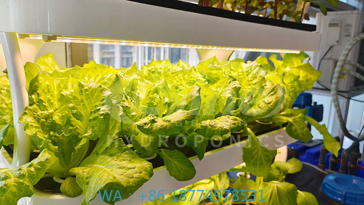Farming Agriculture Equipment - Sebze, Marul ve Çilek Yetiştirme İçin
