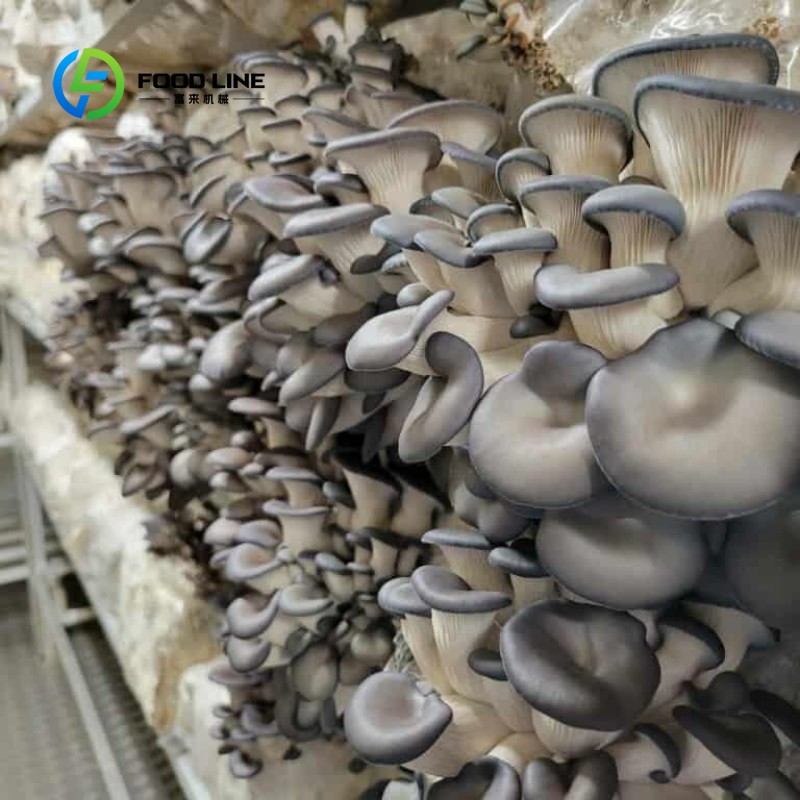 Modüler Konteyner Çiftliği Kap - Farming Agriculture Project incelemesi ve fiyatı
