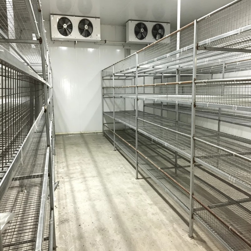 Otomatik Sulama Sistemli Hidro - Farming Agriculture Project incelemesi ve fiyatı
