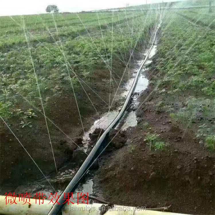 Bahçe ve Ev Kullanımı için 16m - Irrigation Drip Tape incelemesi ve fiyatı